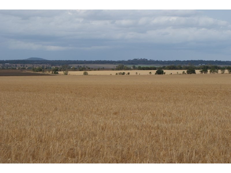 Pittsworth QLD 4356