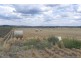 Pittsworth QLD 4356