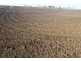 Pittsworth QLD 4356