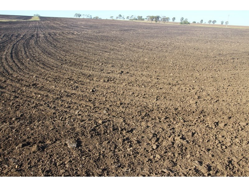 Pittsworth QLD 4356