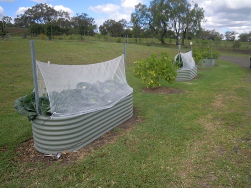 0 Jentz Road, Scrubby Mountain QLD 4356