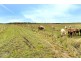 180 Talgai Road, Allora QLD 4362