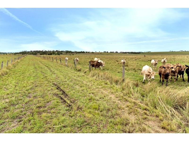 180 Talgai Road, Allora QLD 4362