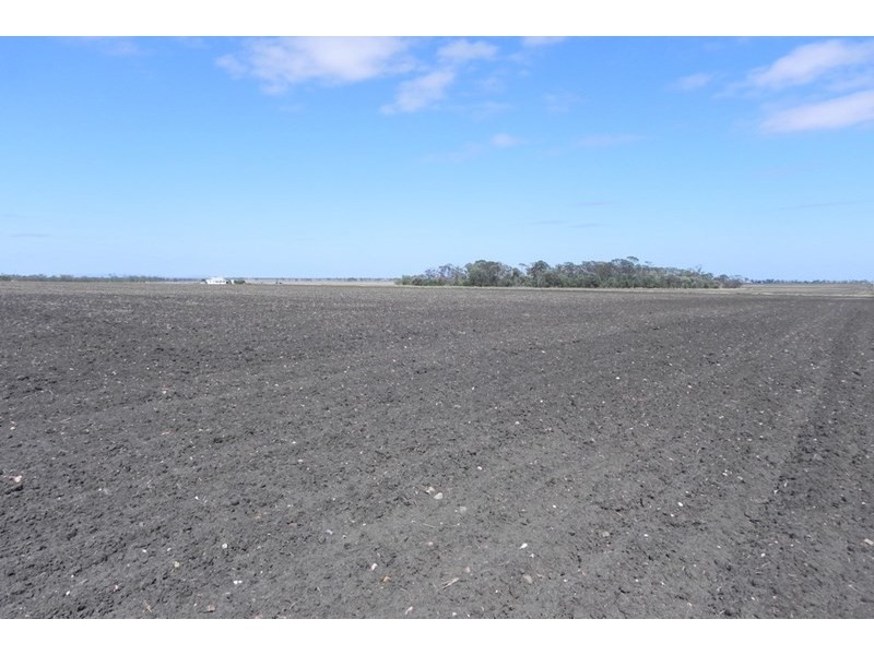 0 Watson Road, Pittsworth QLD 4356