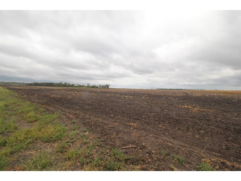 0 Watson Road, Pittsworth QLD 4356