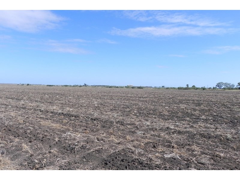 351 Yarranlea Road, Pittsworth QLD 4356