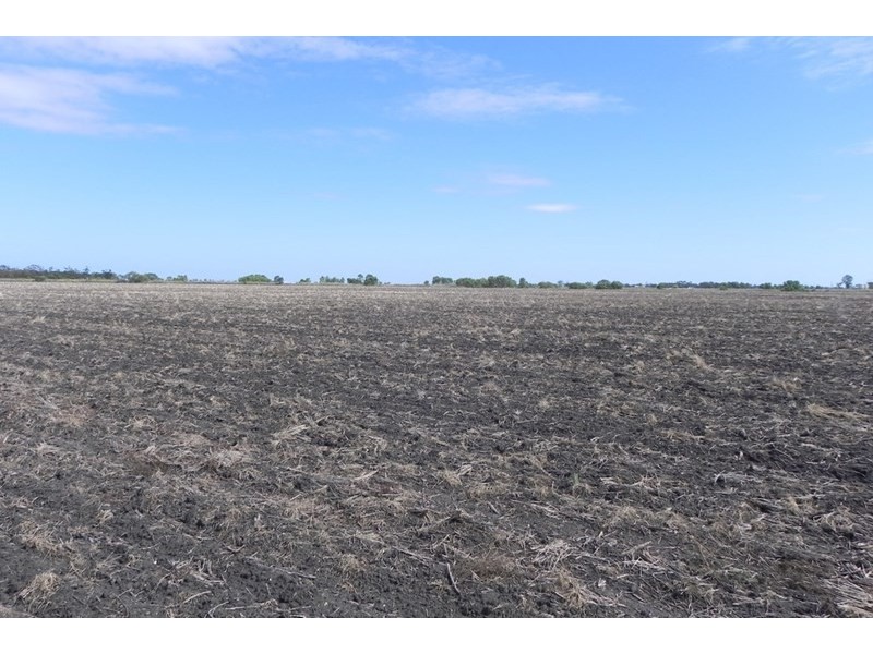 351 Yarranlea Road, Pittsworth QLD 4356