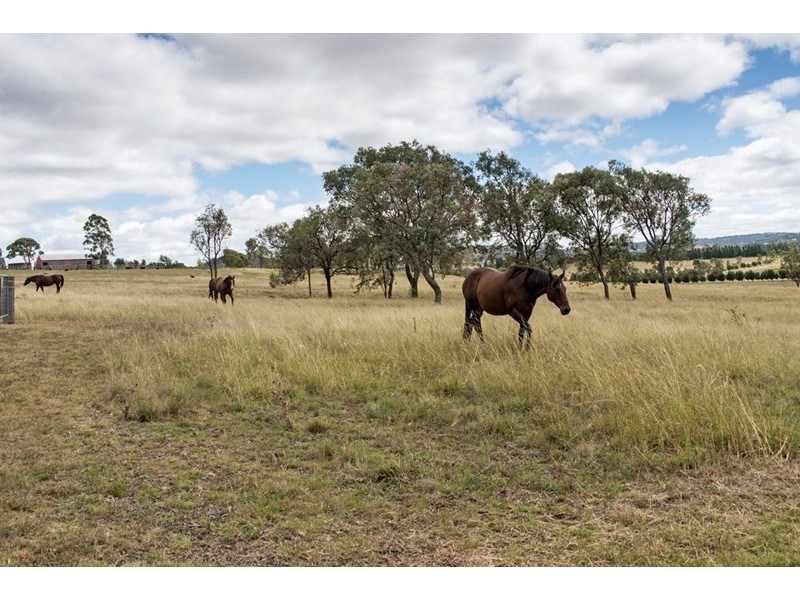 385 Hodgsonvale Road, Hodgson Vale QLD 4352