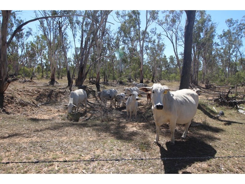 Lot 25 Sobbe Road, Sandy Camp, Clifton QLD 4361