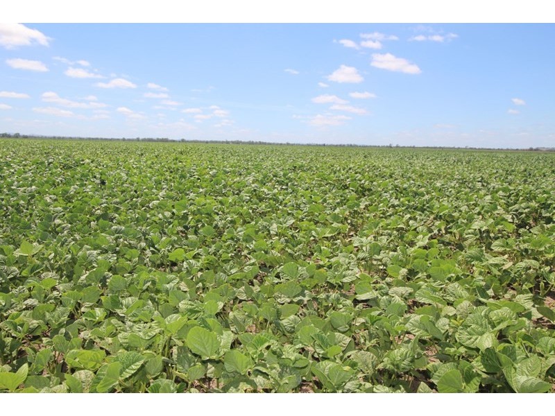 00 Tates Road, Bowenville QLD 4404