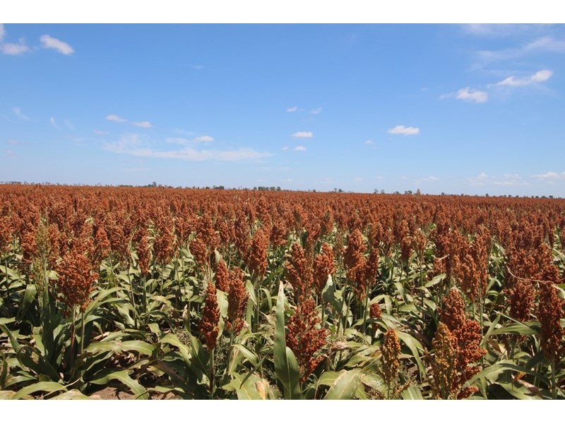 00 Tates Road, Bowenville QLD 4404