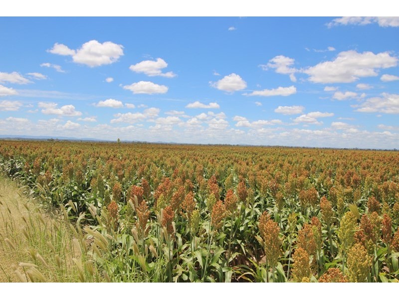 00 Tates Road, Bowenville QLD 4404