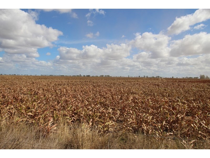 00 Tates Road, Bowenville QLD 4404