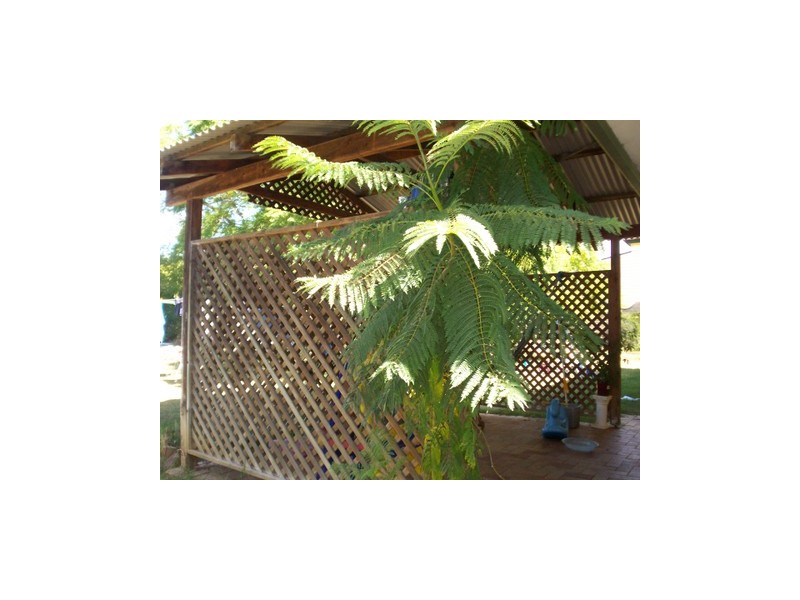 4A HUME, Pittsworth QLD 4356