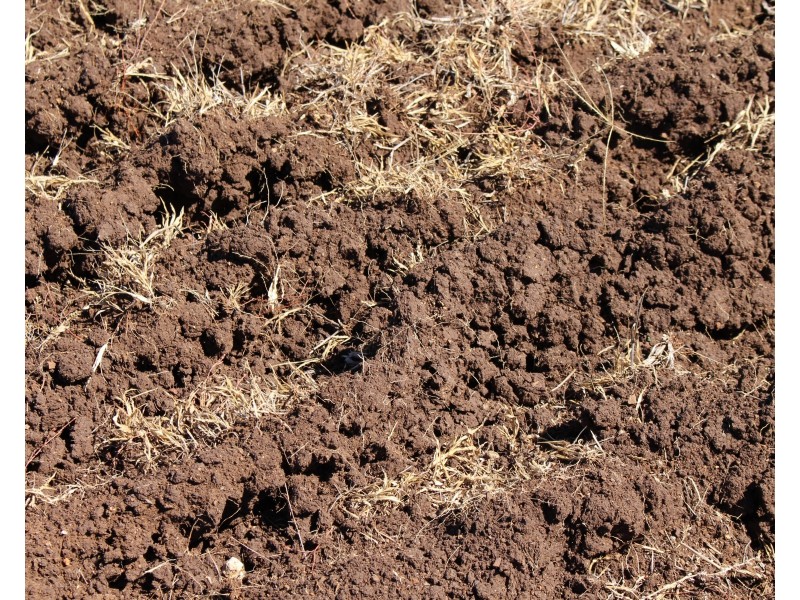 0 Kingsthorpe-Haden Road, Goombungee QLD 4354