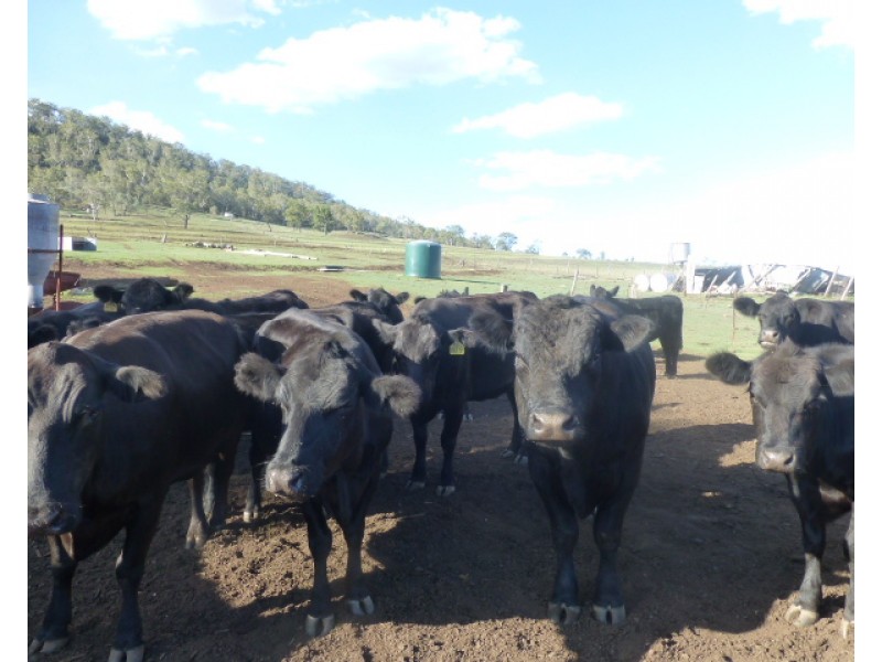 147 Greenmount-Hirstvale Road, Greenmount East QLD 4359