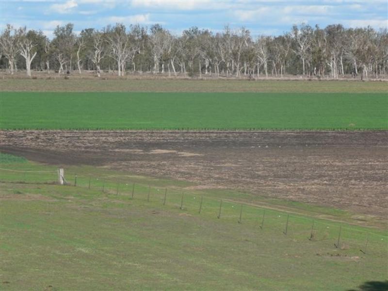 1 Springvale Road, Dalby QLD 4405