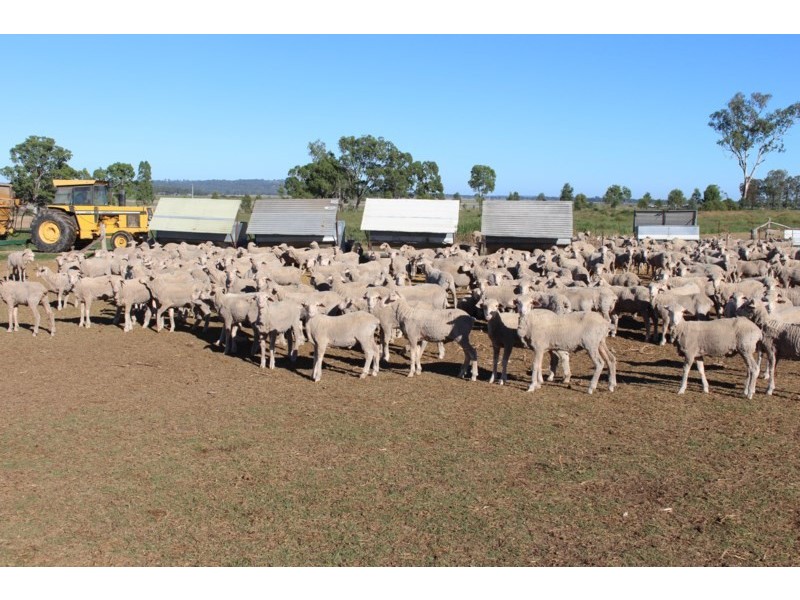 1110 Talgai West, Clifton QLD 4361