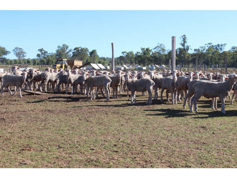 1110 Talgai West, Clifton QLD 4361