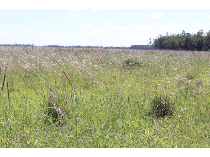 936 Punch’s Creek Road, Millmerran QLD 4357