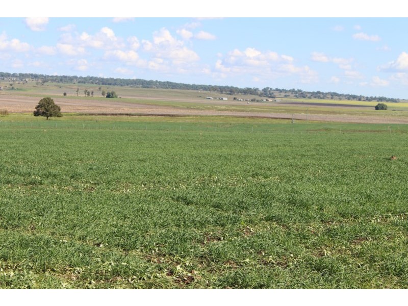 0 Henningson Road, Oakey QLD 4401