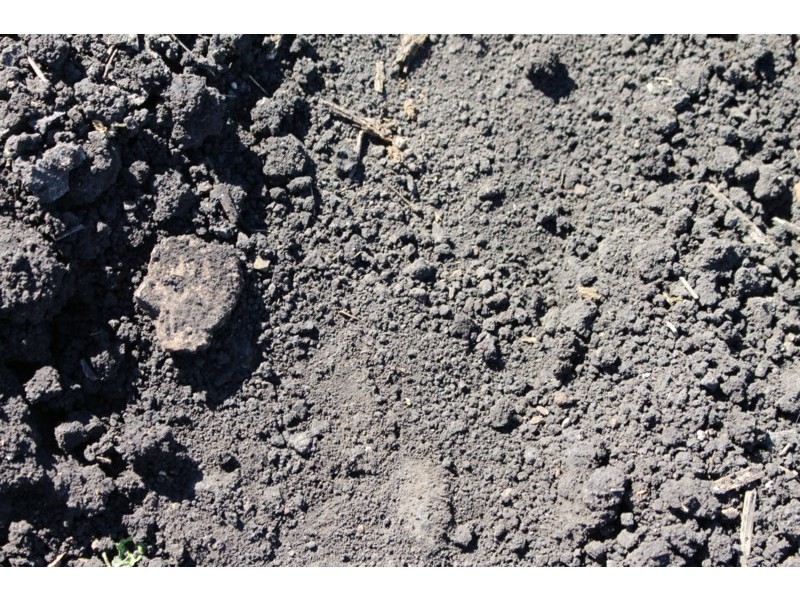 0 Henningson Road, Oakey QLD 4401