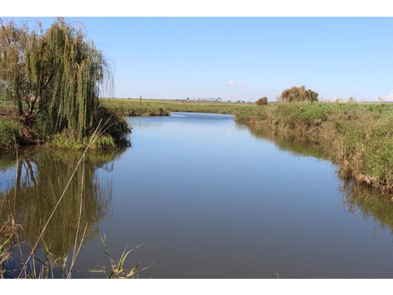 0 Henningson Road, Oakey QLD 4401