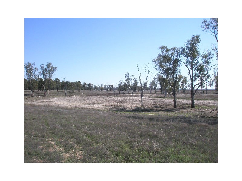 0 Lemontree-Bostock Road, Millmerran QLD 4357