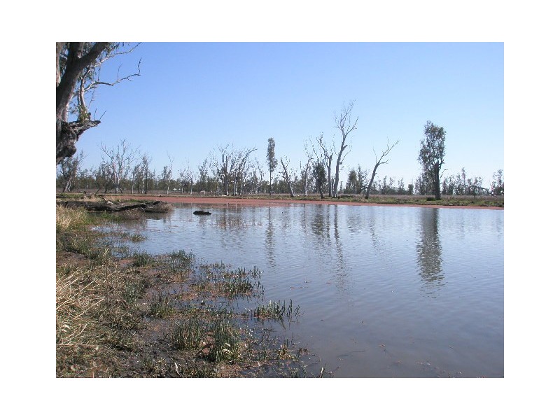 0 Lemontree-Bostock Road, Millmerran QLD 4357