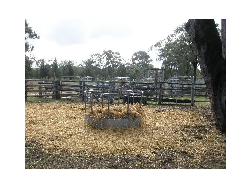 449 Bonnie Doon Road, Leyburn QLD 4365