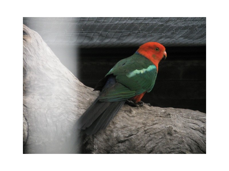 449 Bonnie Doon Road, Leyburn QLD 4365