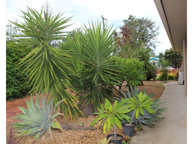 63 Hume, Pittsworth QLD 4356