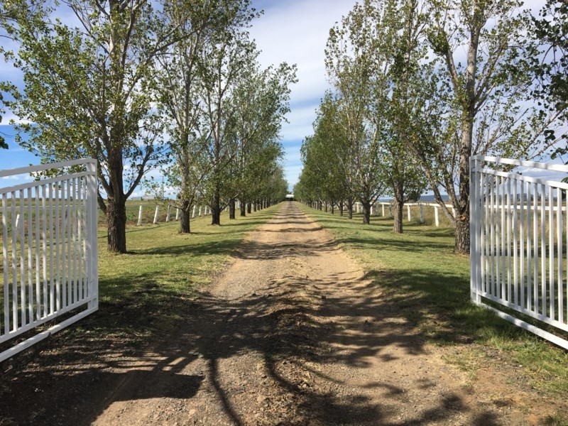 15097 New England Highway, Nobby QLD 4360