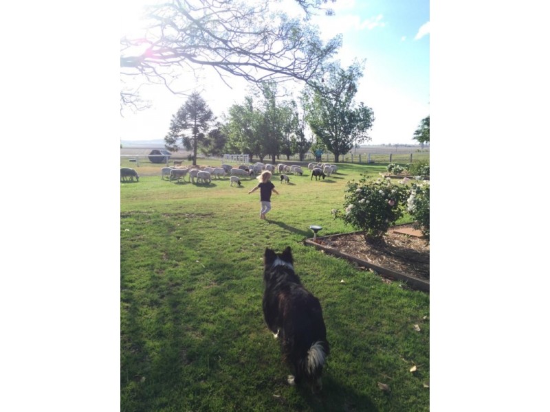 15097 New England Highway, Nobby QLD 4360