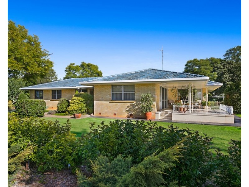 35 Briggs Street, Pittsworth QLD 4356