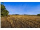 93 Oestreich Road, Wellcamp QLD 4350