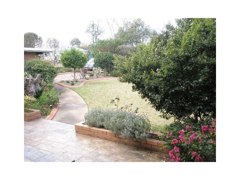 7 Holmes, Pittsworth QLD 4356