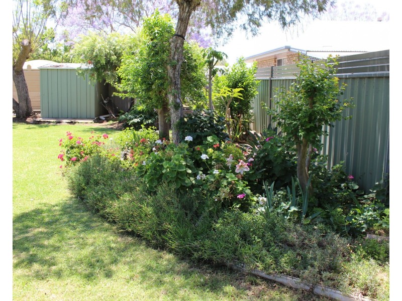 38 Murray, Pittsworth QLD 4356