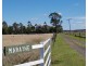 50 Hauslers Road, Pittsworth QLD 4356