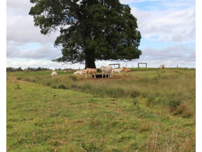 230 Wolskis Road, Mannuem QLD 4610