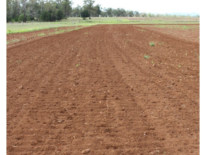 230 Wolskis Road, Mannuem QLD 4610