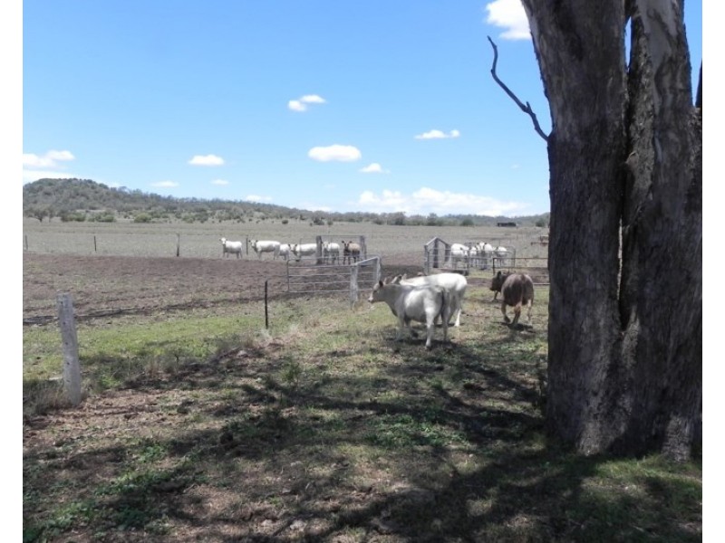 0 Linthorpe Valley Road, Linthorpe QLD 4356