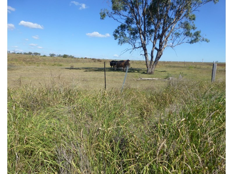 115 Jondaryan – Nungil Road, Brymaroo QLD 4403