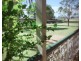 949 Clifton Pittsworth Road, Back Plains QLD 4361