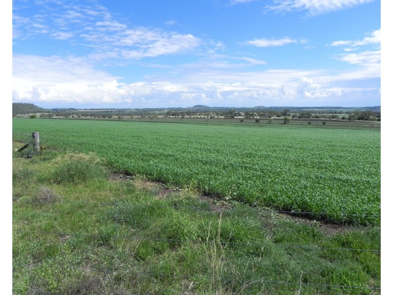 0 Wyangapinni Road, Stoneleigh, Pittsworth QLD 4356