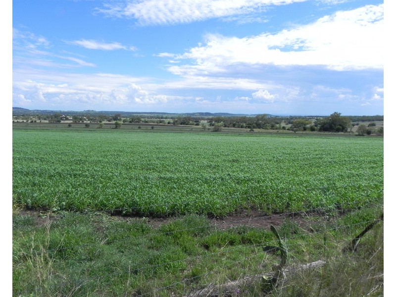 0 Wyangapinni Road, Stoneleigh, Pittsworth QLD 4356