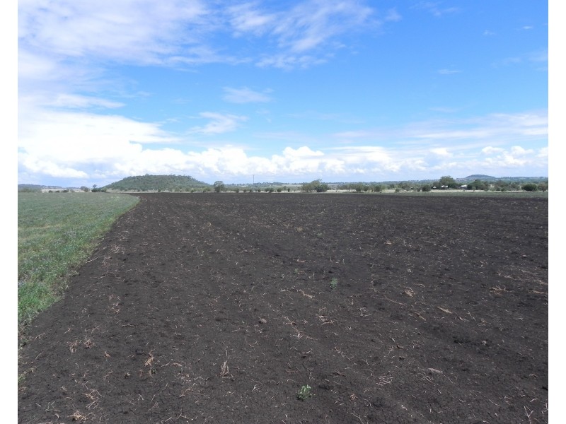 0 Wyangapinni Road, Stoneleigh, Pittsworth QLD 4356