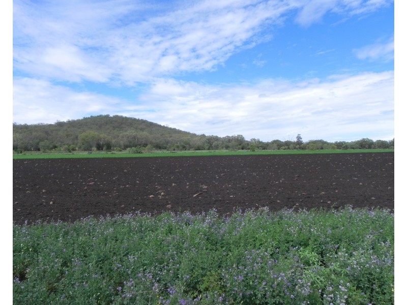 0 Wyangapinni Road, Stoneleigh, Pittsworth QLD 4356