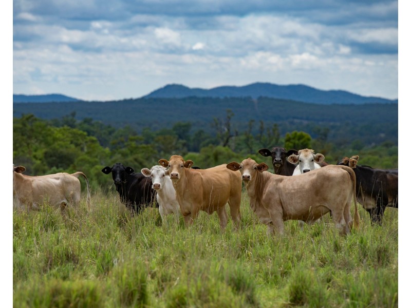 0 Dalmere Road, Leyburn QLD 4365