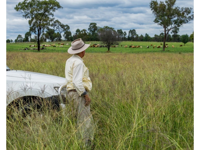0 Dalmere Road, Leyburn QLD 4365